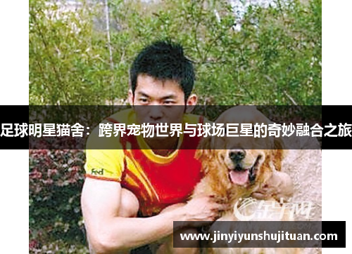 足球明星猫舍：跨界宠物世界与球场巨星的奇妙融合之旅