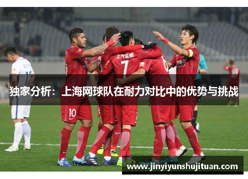独家分析：上海网球队在耐力对比中的优势与挑战